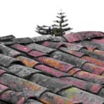 roofing insight